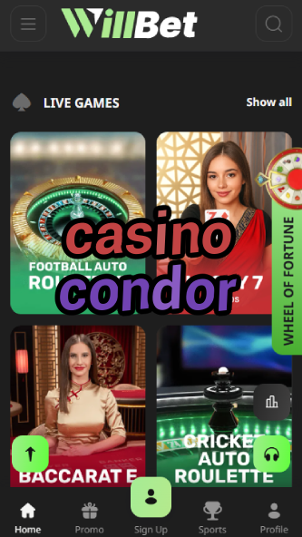 Casino Condor - Best South American Casino-www.bdqngd.com
